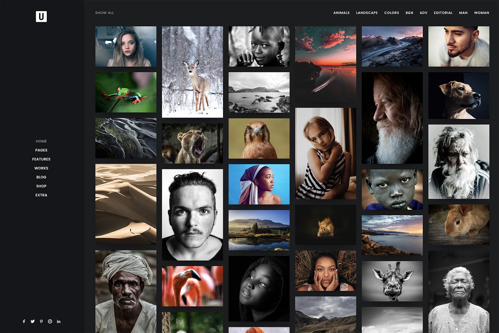 Portfolio Photos