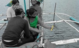 A woman looks at a measurement while in a boat at sea. Community Centre Conservation (C3) Philippines: fisheries management in the Philippines