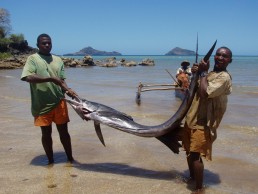 Two fisherman proudly display a large fish. Community Centre Conservation - C3 International Limited