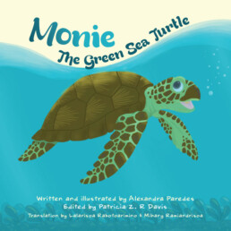 Monie The Green Sea Turtle by C3 Madagascar